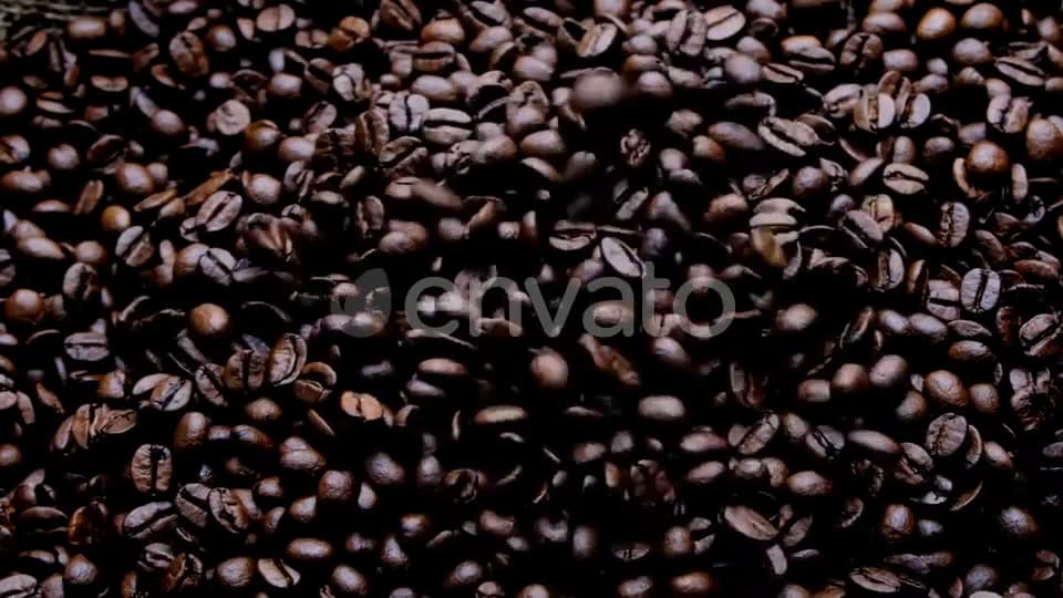Roasted coffee beans from Fermion Roastery